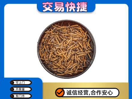 苍溪县高价回收散虫草